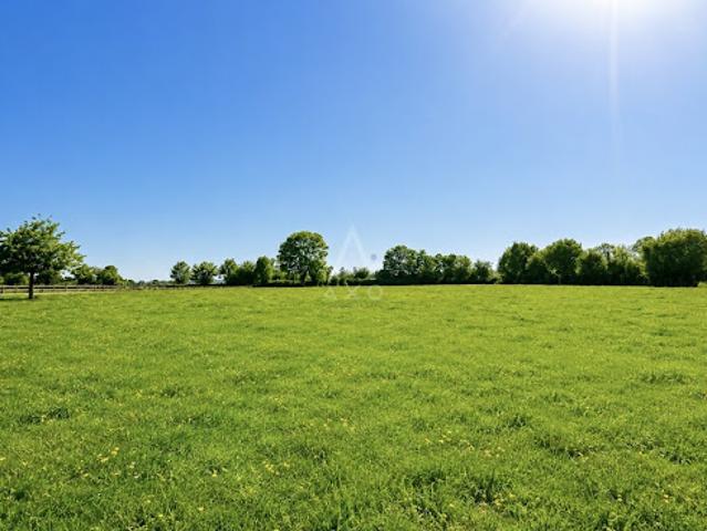 Vente Maison 7 pièces 165 m2 Vimoutiers