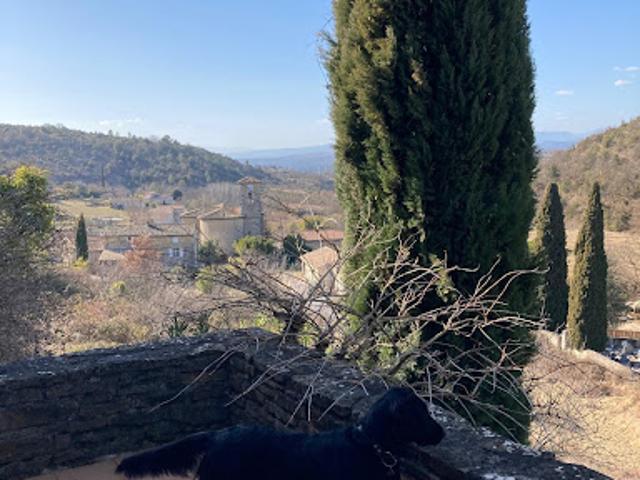 Vente Maison 7 pièces 167 m2 Rochecolombe