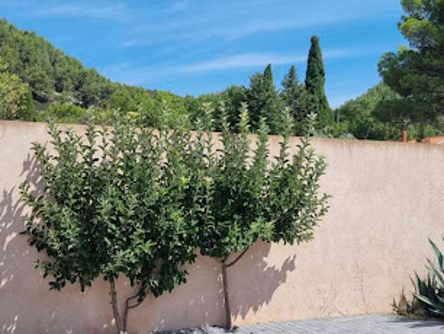 Vente Maison 7 pièces 160 m2 Cuges les Pins