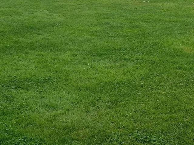Vente Maison 7 pièces 160 m2 Le Crotoy