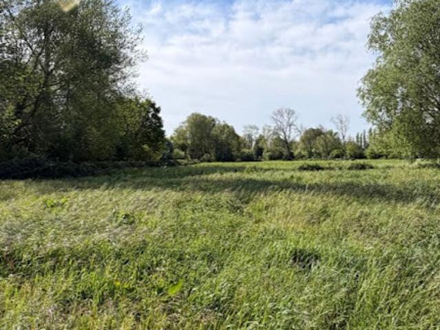 Vente Maison 7 pièces 160 m2 Ponthoile