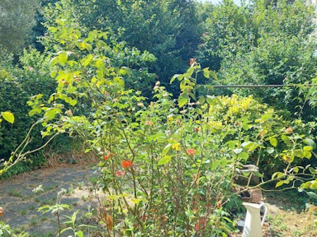 Vente Maison 7 pièces 160 m2 Rennes