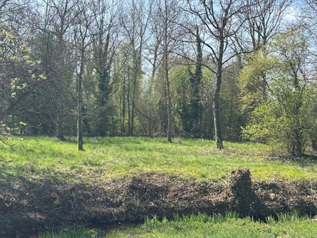Vente Maison 7 pièces 173 m2 Proville