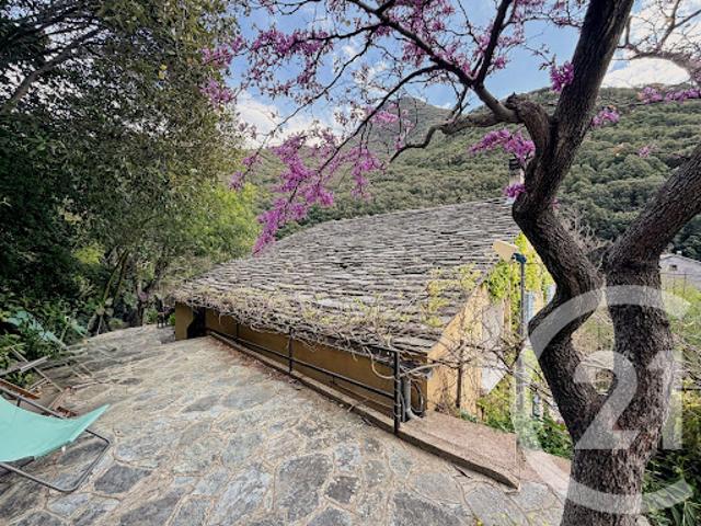Vente Maison 7 pièces 173.5 m2 Olmeta di Capocorso