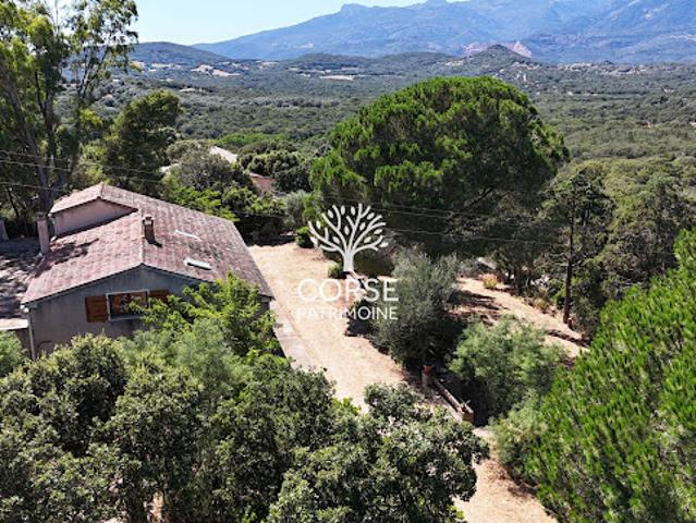 Vente Maison 7 pièces 184 m2 Sotta