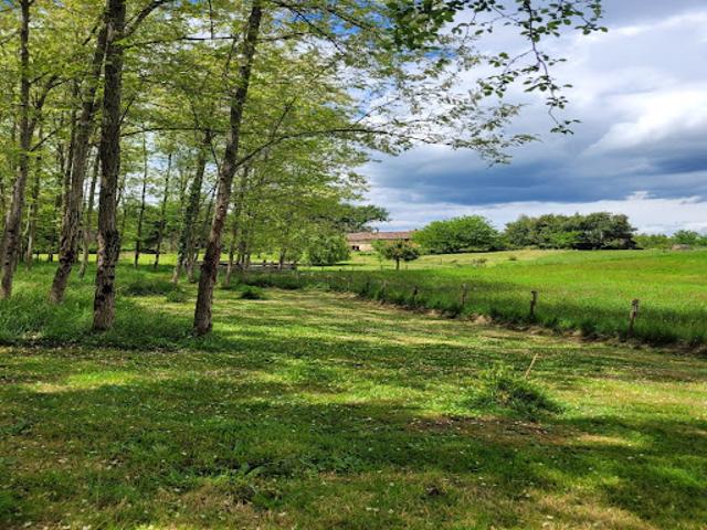 Vente Maison 7 pièces 180 m2 Bazas