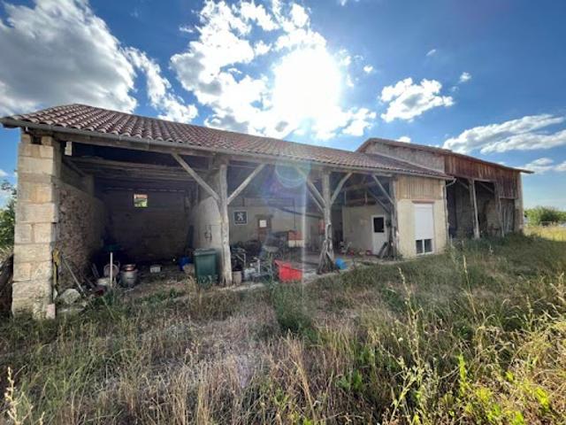Vente Maison 7 pièces 180 m2 Biras