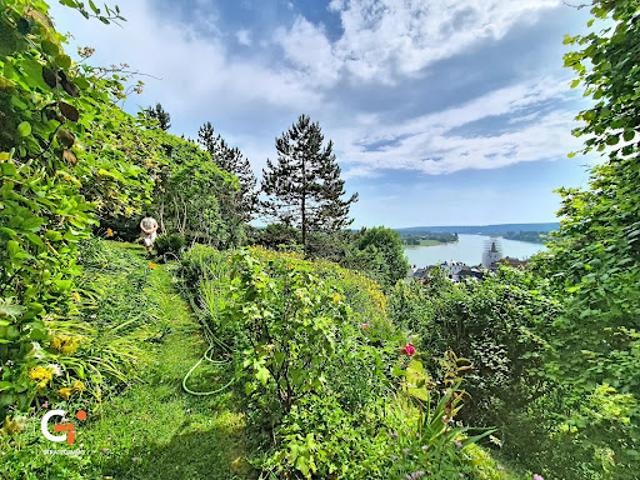 Vente Maison 7 pièces 180 m2 La Bouille