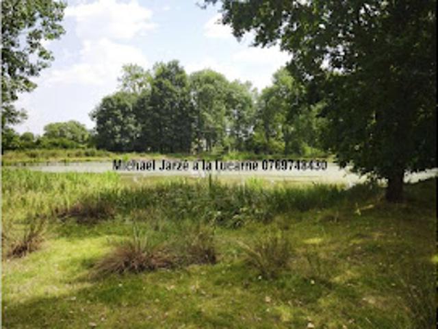 Vente Maison 7 pièces 181 m2 Courlay