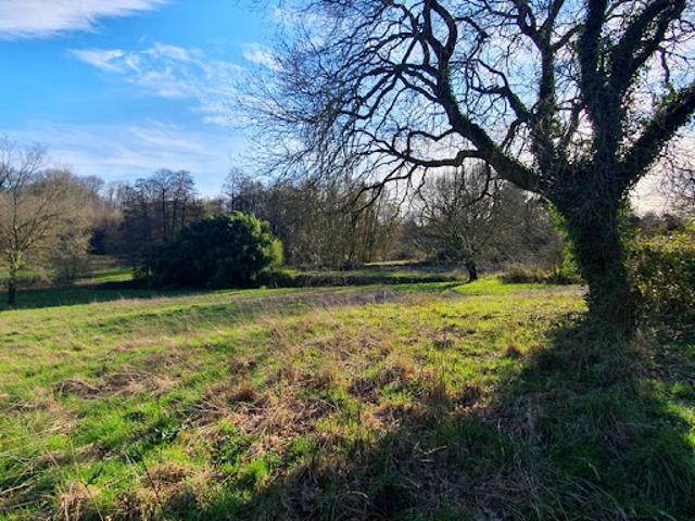 Vente Maison 7 pièces 183 m2 La Caillère Saint Hilaire