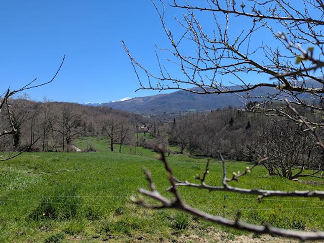 Vente Maison 7 pièces 183 m2 Serres sur Arget