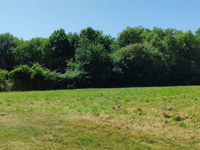 Vente Maison 7 pièces 194 m2 Lalinde