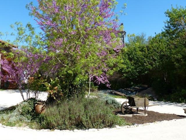 Vente Maison 7 pièces 198 m2 Courcôme