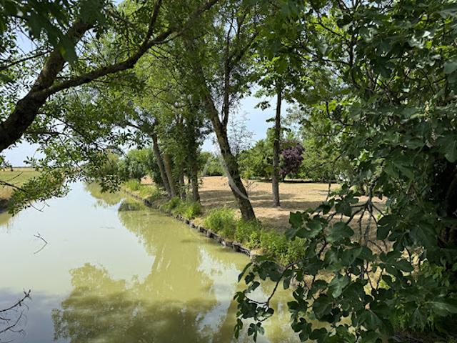 Vente Maison 7 pièces 191.91 m2 Puyravault
