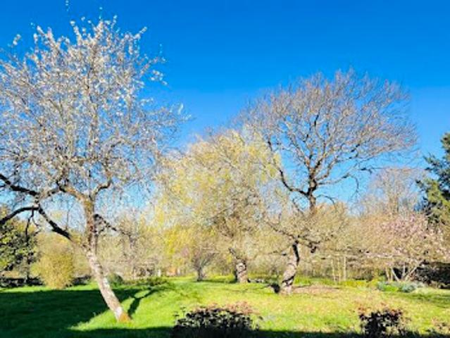Vente Maison 7 pièces 193 m2 Sorigny