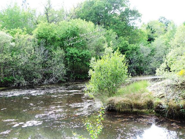 Vente Maison 7 pièces 200 m2 Luglon