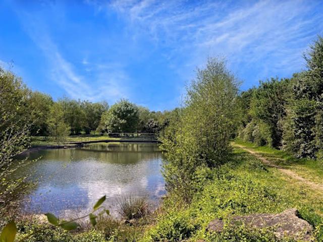 Vente Maison 7 pièces 200 m2 Saint Philbert de Bouaine