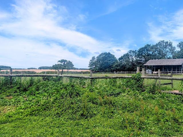 Vente Maison 7 pièces 200 m2 Saint Vaast Dieppedalle