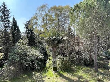 Vente Maison 7 pièces 217 m2 Montpellier