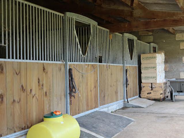 Vente Maison 7 pièces 217 m2 Châteauneuf sur Charente