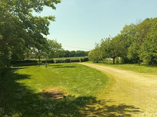 Vente Maison 7 pièces 223 m2 Payroux