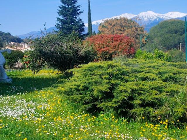 Vente Maison 7 pièces 236 m2 Ceret
