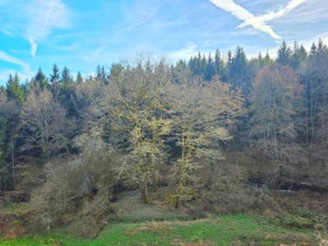 Vente Maison 7 pièces 230 m2 Salon la Tour