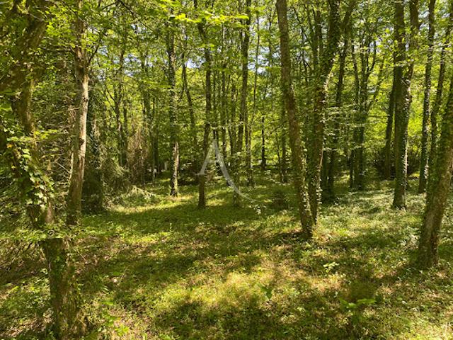 Vente Maison 7 pièces 231 m2 Donnery