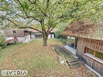 Vente Maison 7 pièces 240 m2 Gerstheim