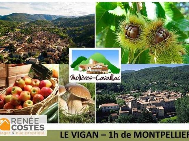 Vente Maison 7 pièces 262 m2 Molières Cavaillac