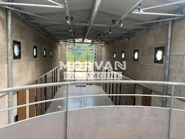 Vente Maison 7 pièces 294.95 m2 Alluy