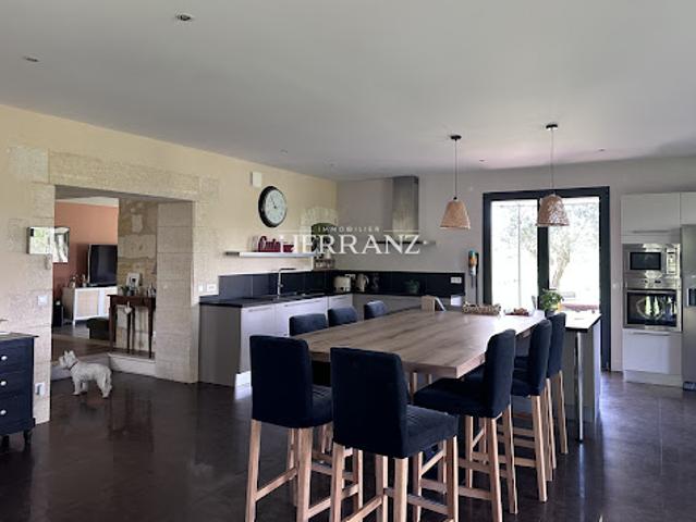 Vente Maison 7 pièces 330 m2 Izon