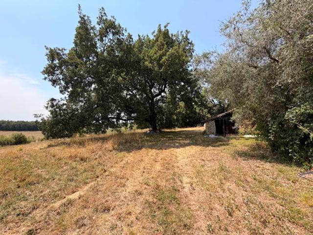 Vente Maison 7 pièces 443 m2 Pavie