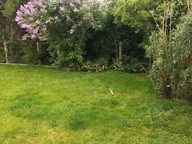 Vente Maison 7 pièces 95 m2 Vieuvicq