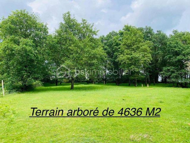 Vente maison 7 pièces Loyat 56