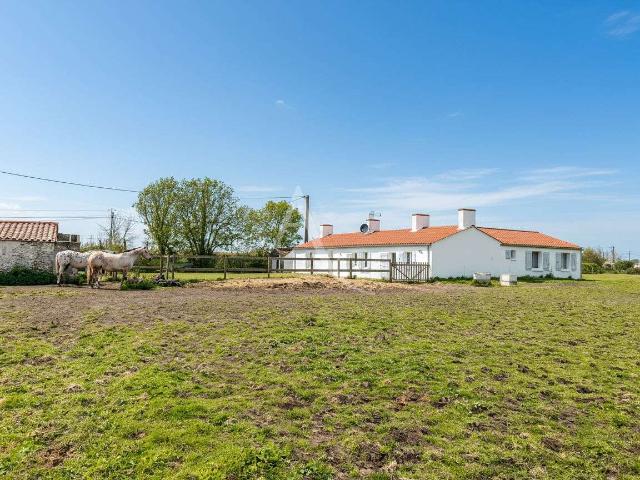 Vente maison 7 pièces Saint Urbain 85