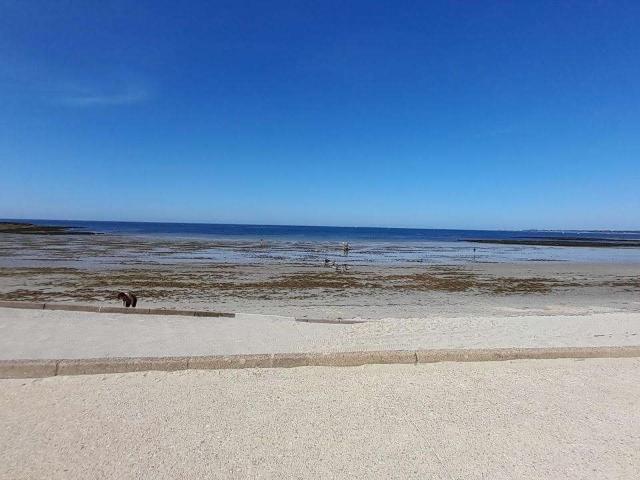Vente maison 7 pièces Sarzeau Campagne Atlantique 56