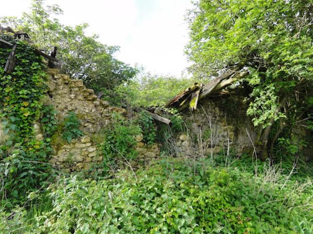 Vente Maison 400 m2 Mareuil