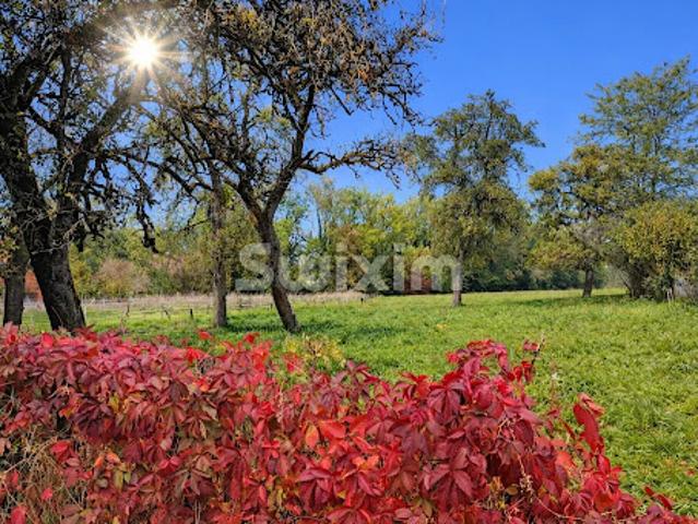 Vente Maison 4 pièces 107 m2 Contamine sur Arve
