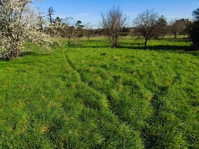 Vente Maison 4 pièces 100 m2 Houlette