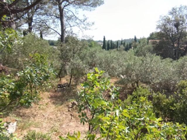 Vente Maison 4 pièces 100 m2 Pélissanne