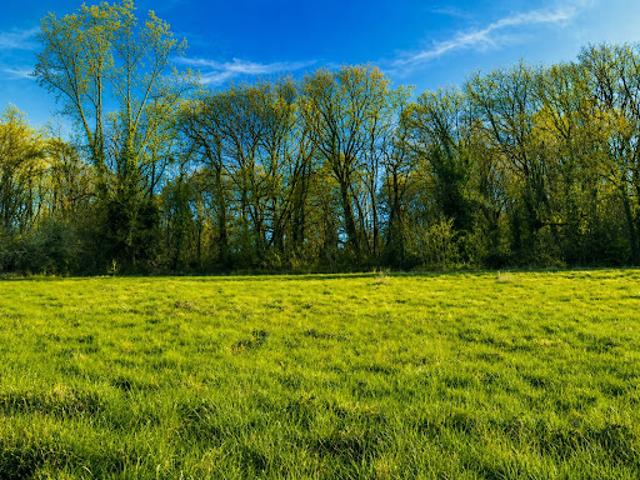 Vente Maison 4 pièces 100 m2 Trélissac