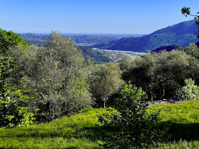 Vente Maison 4 pièces 102 m2 Bonson