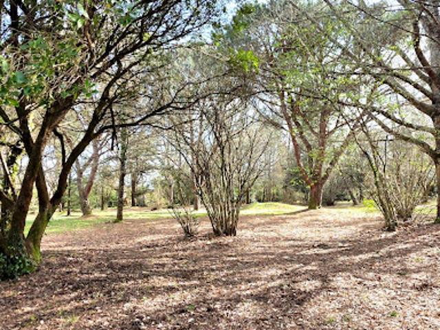 Vente Maison 4 pièces 115 m2 Le Pian Médoc