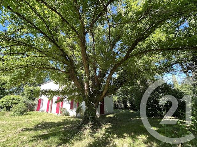 Vente Maison 4 pièces 119 m2 Noaillan