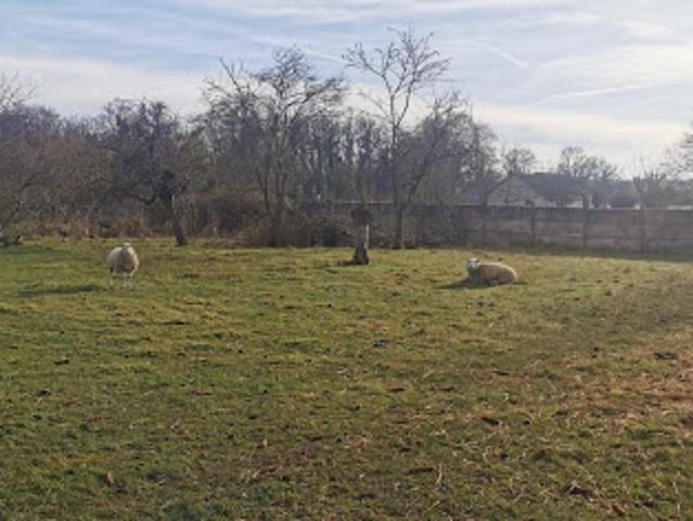 Vente Maison 4 pièces 110 m2 Saint Loup