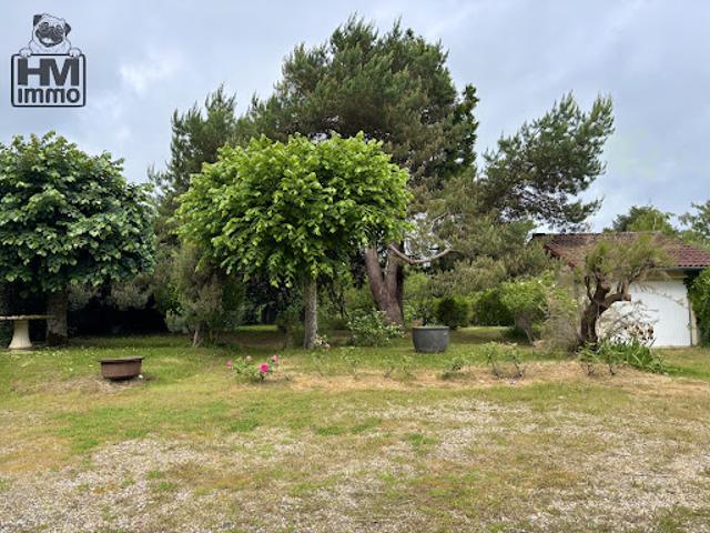 Vente Maison 4 pièces 111 m2 Cognac la Forêt