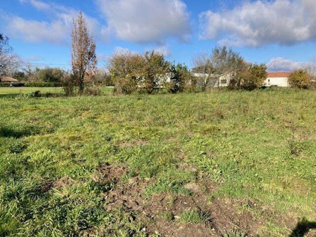 Vente Maison 4 pièces 112 m2 Hagetmau