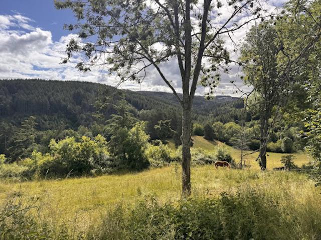 Vente Maison 4 pièces 113 m2 Saint Hilaire