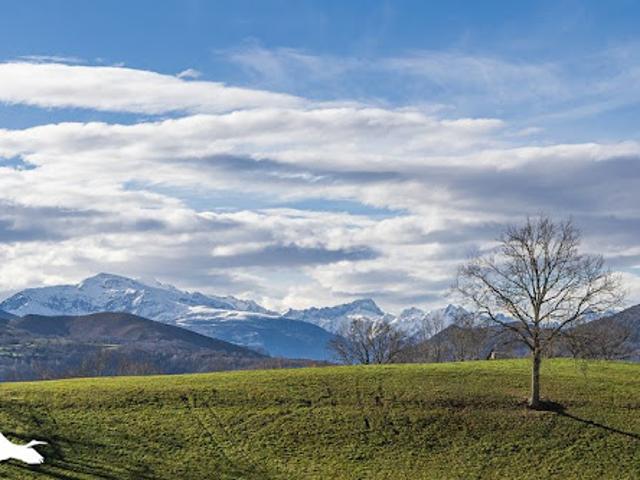 Vente Maison 4 pièces 134 m2 Lourdes